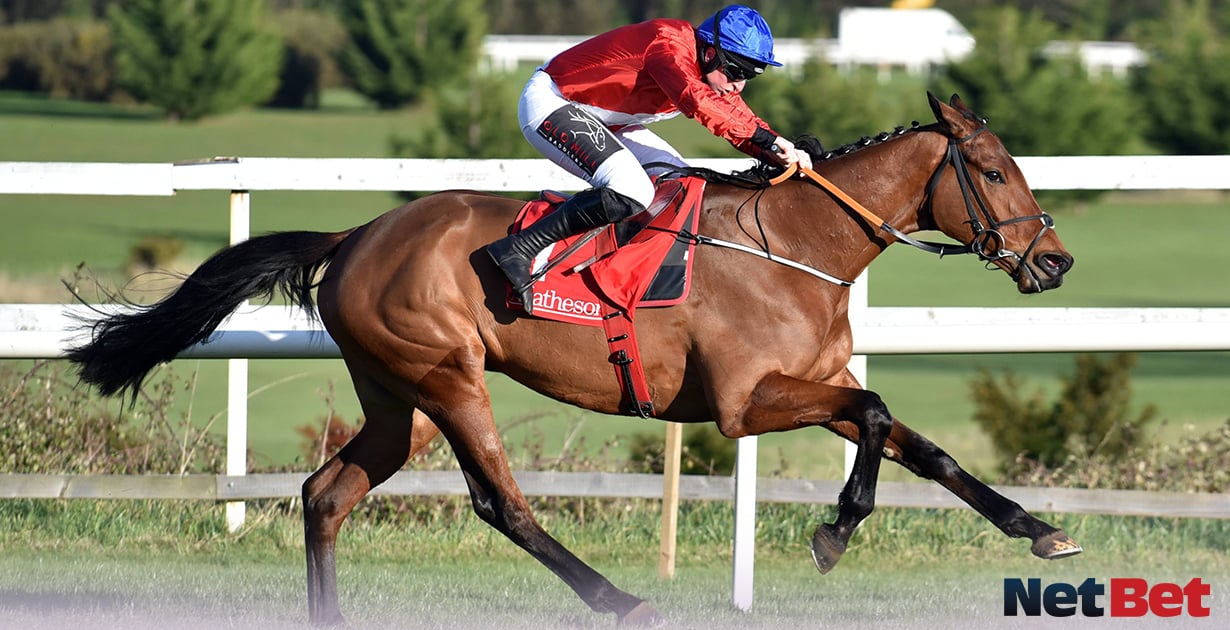 Down Royal Festival Best Bets