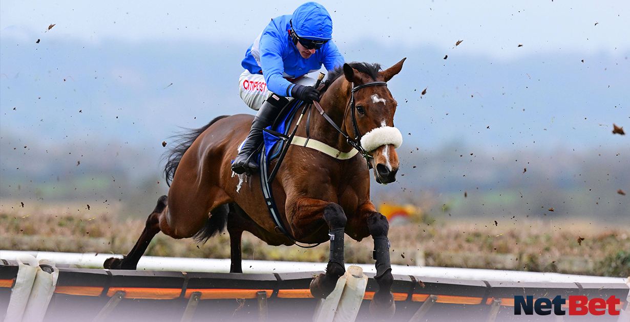 Cheltenham November Meeting