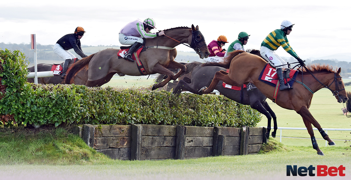 Punchestown Premiere Weekend