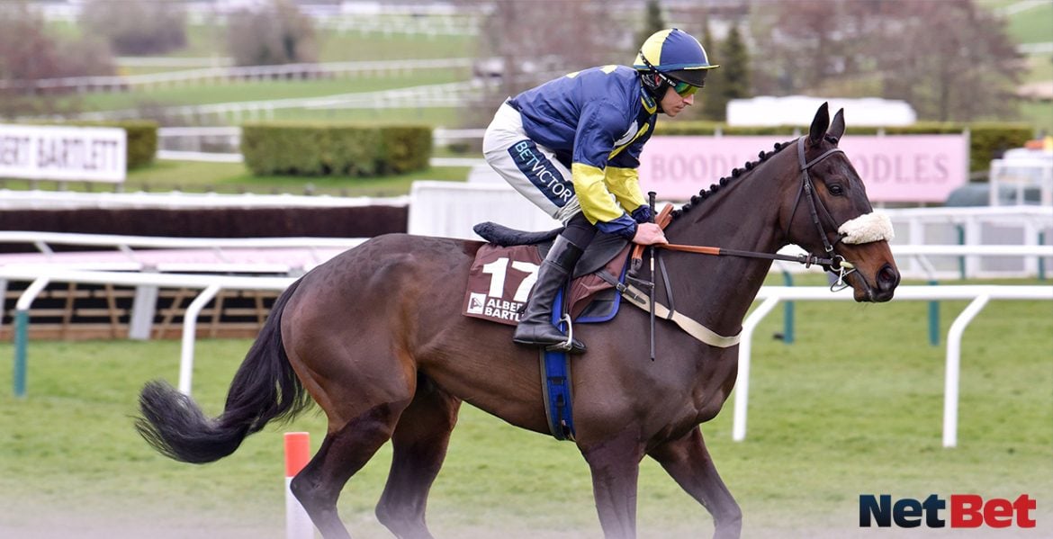 Cheltenham Festival 2026 - Best Bets