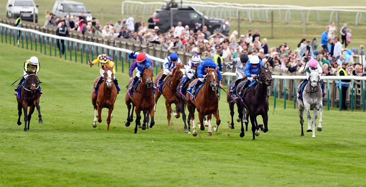 Newmarket 2000 Guineas Stakes 2026 Preview